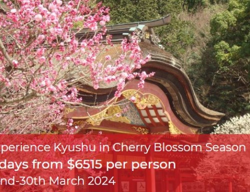 Cherry Blossom Trail & Last Samurai Tour of Kyushu 2024