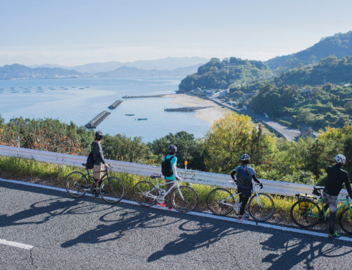 Japanese Craft & Local Life Experience in Shikoku