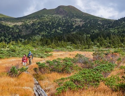 Tohoku Dynamic Mountains Trekking (Self-Guided)