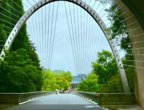 Miho Museum