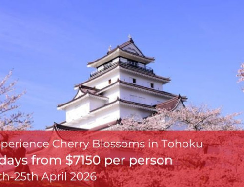 Tohoku Cherry Blossom Tour 2026