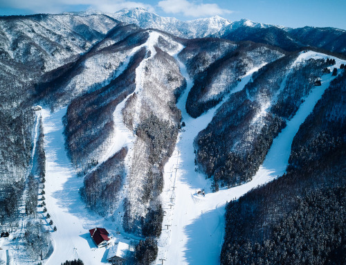 Minakami  – Powder Hunters Special Ski Package