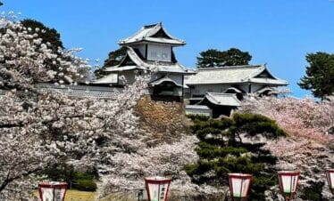 Classic Cherry Blossom Tour 2026