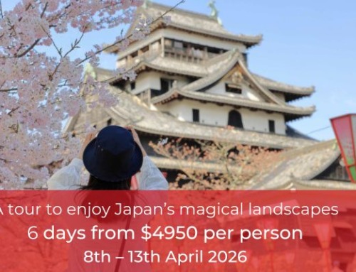 San-In Cherry Blossom Tour