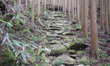 Hiking the Kumano Kodo | Japan Holidays