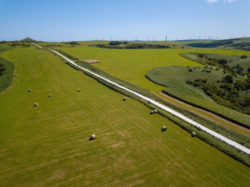 self_drive_hokkaido2_1100_60