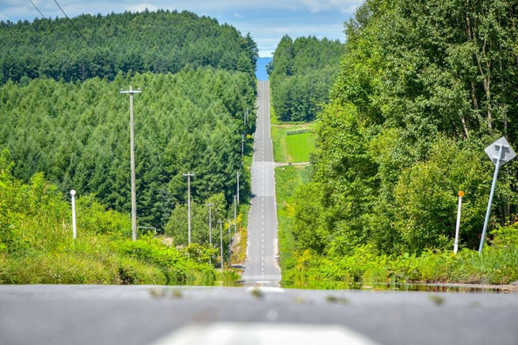 self_drive_hokkaido4_1100_60