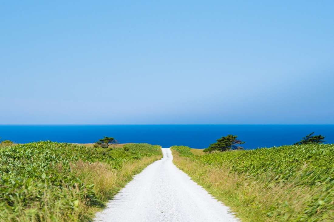 self_drive_hokkaido_1100_60