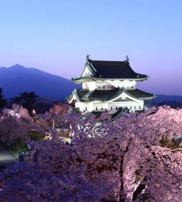 Japan Cherry Blossom Tours | Cherry Blossom Travel Packages