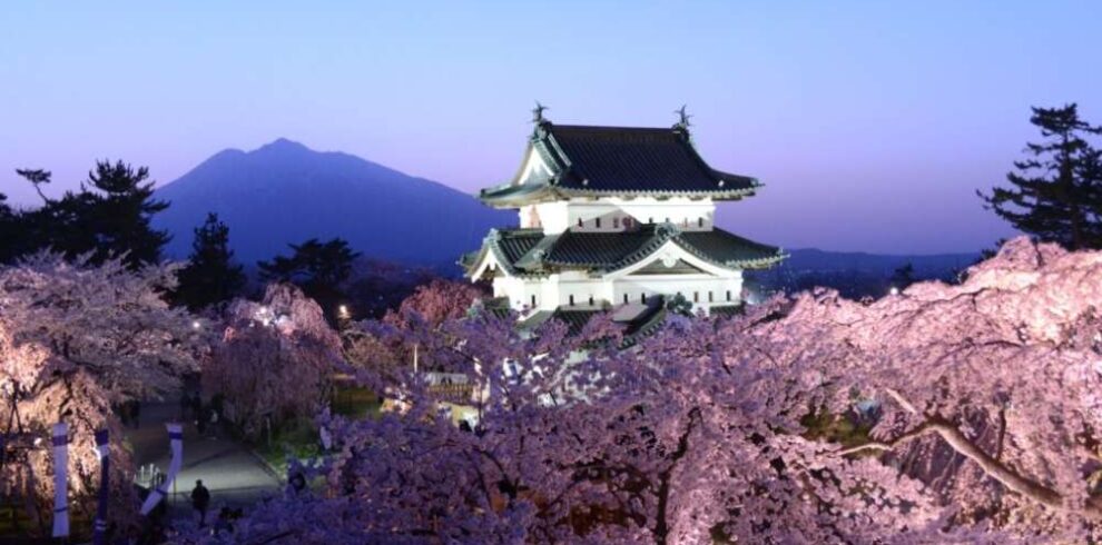 Japan Cherry Blossom Tours | Cherry Blossom Travel Packages
