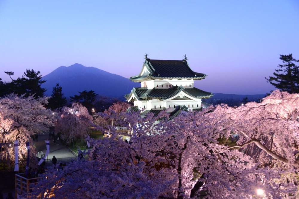 Japan Cherry Blossom Tours | Cherry Blossom Travel Packages