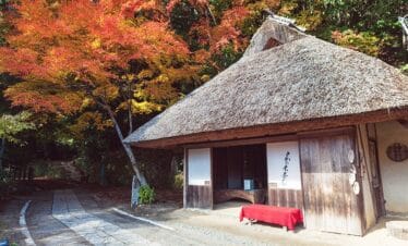 Walk the Kumano Kodo - Autumn 2026 | Japan Walking Tours