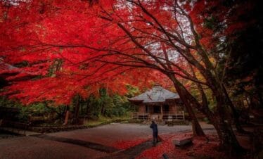 Tohoku Autumn Leaves Tour | Japan Holiday Packages