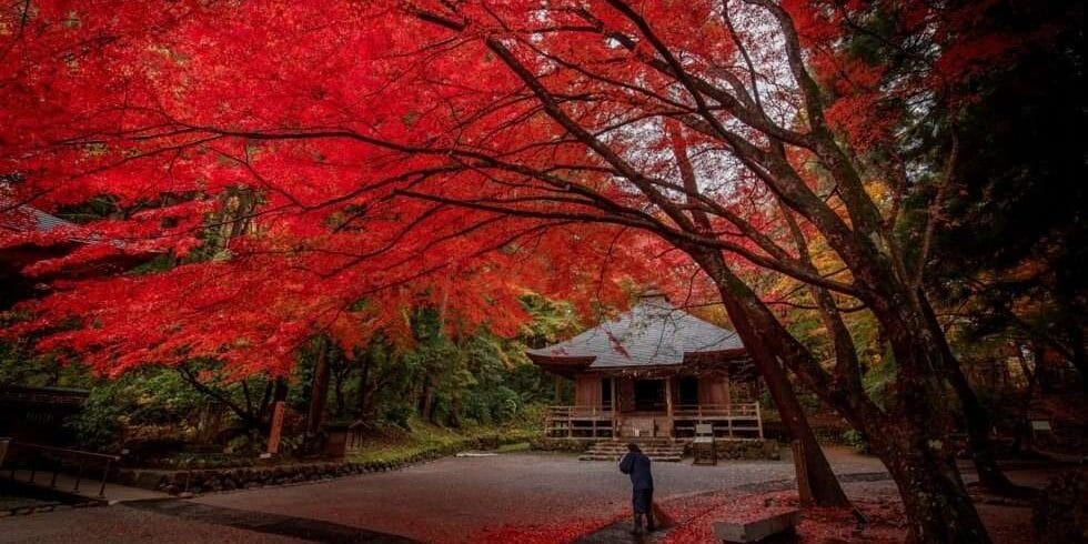Tohoku Autumn Leaves Tour | Japan Holiday Packages