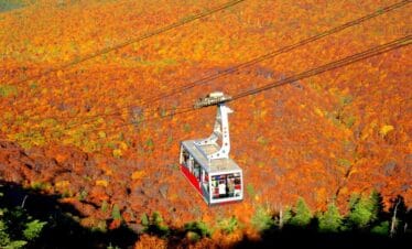 Tohoku Autumn Leaves Tour | Japan Holiday Packages