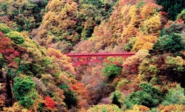 Tohoku Autumn Leaves Tour | Japan Holiday Packages
