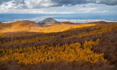 Tohoku Autumn Leaves Tour | Japan Tour Packages
