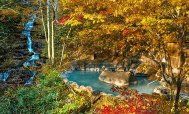 Tohoku Autumn Leaves Tour | Japan Holiday Packages