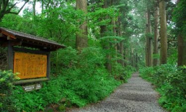 Classic Cherry Blossom Tour 2027 | Japan Cherry Blossom Tours