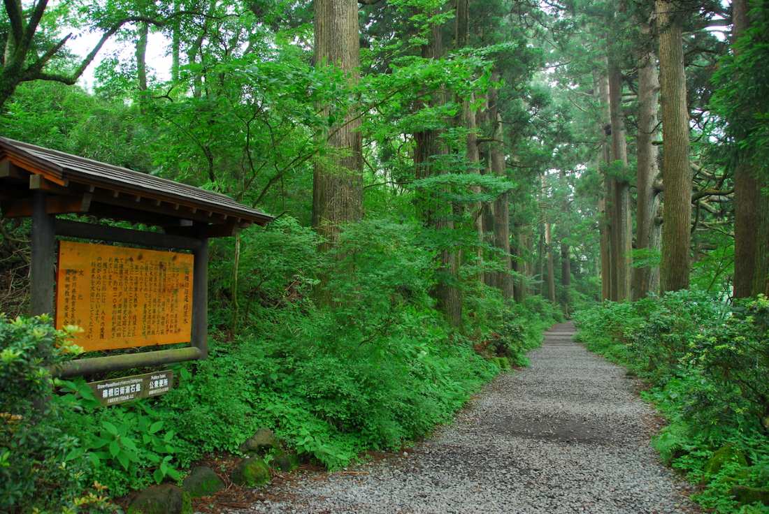 Classic Cherry Blossom Tour 2027 | Japan Cherry Blossom Tours