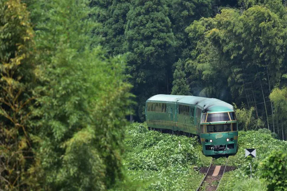 Ride the Yufuinomori - one of Kyushu’s most iconic sightseeing trains