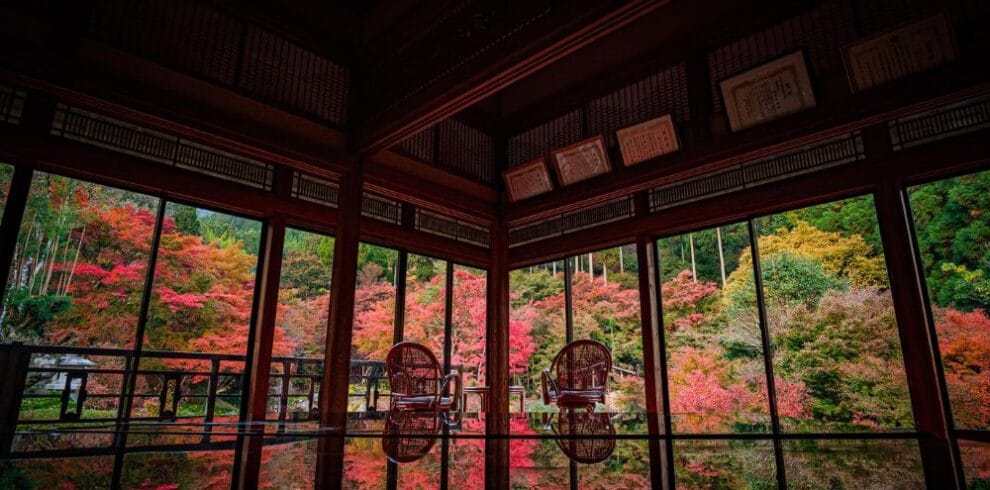 Geijitsu no Mori Park in Saga, Kyushu