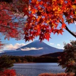 Classic Autumn Tour with Juliane Suzuki | Japan Classic Autumn Tours