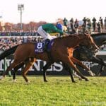 Experience the thrill of the 2026 Japan Cup